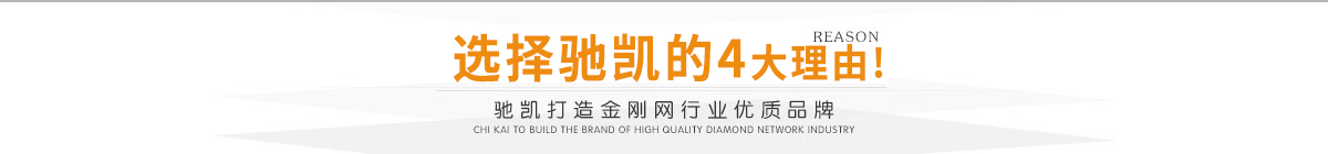 鐵絲圍欄網(wǎng),養(yǎng)殖圍欄網(wǎng),道路圍欄網(wǎng),體育場(chǎng)圍欄網(wǎng)